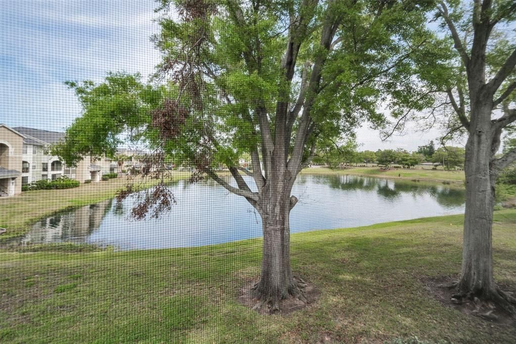 For Sale: $199,900 (2 beds, 2 baths, 985 Square Feet)