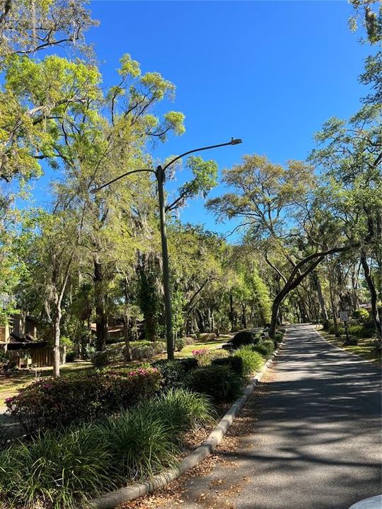 待售: $694,000 (0.91 acres)