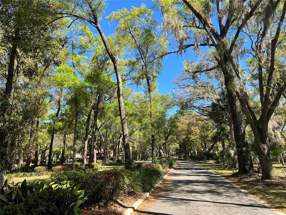 待售: $694,000 (0.91 acres)