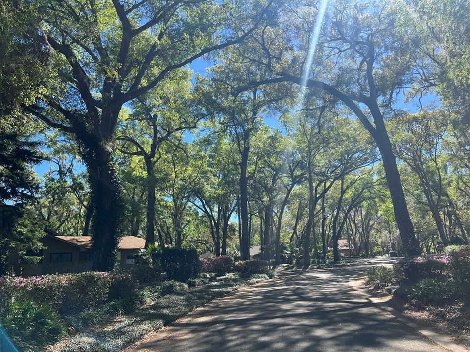 待售: $694,000 (0.91 acres)