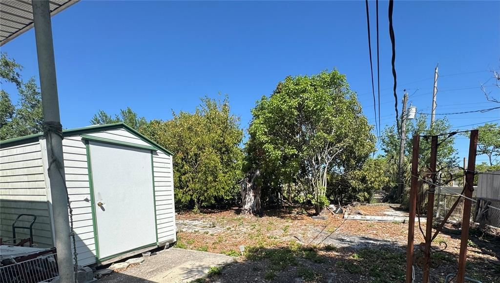 Shed/Back yard