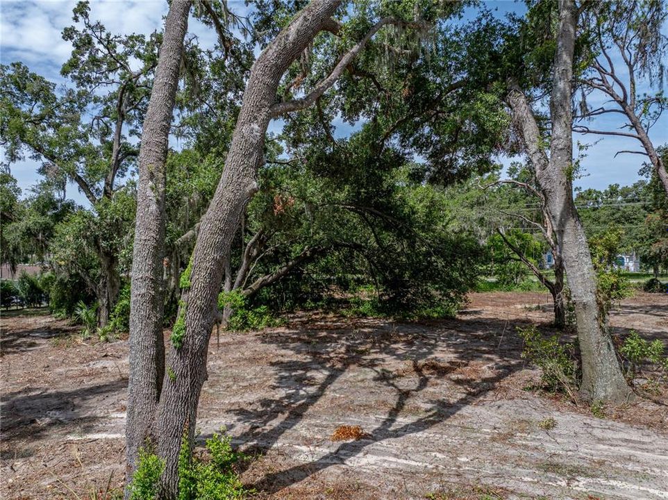 На продажу: $375,000 (3.07 acres)