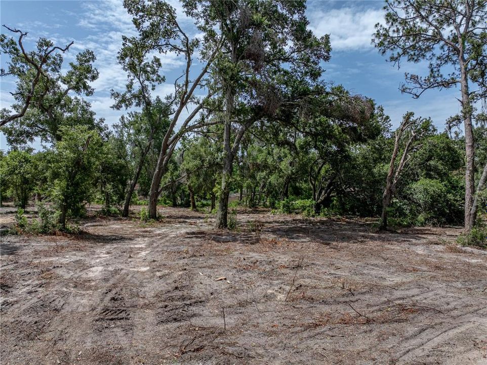 На продажу: $375,000 (3.07 acres)
