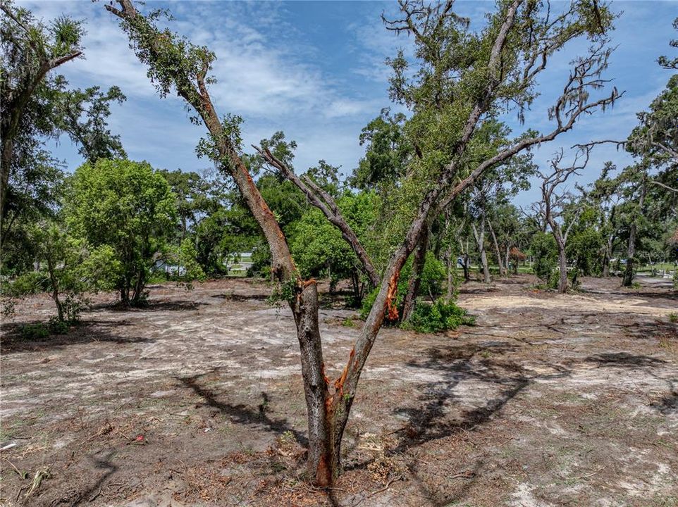 На продажу: $375,000 (3.07 acres)