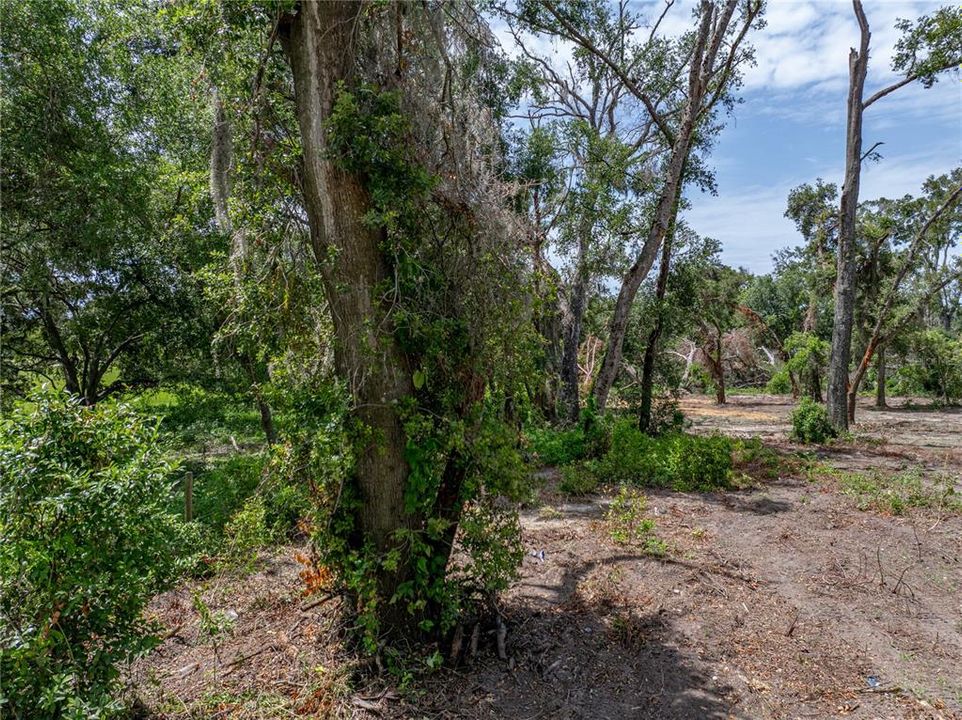 На продажу: $375,000 (3.07 acres)