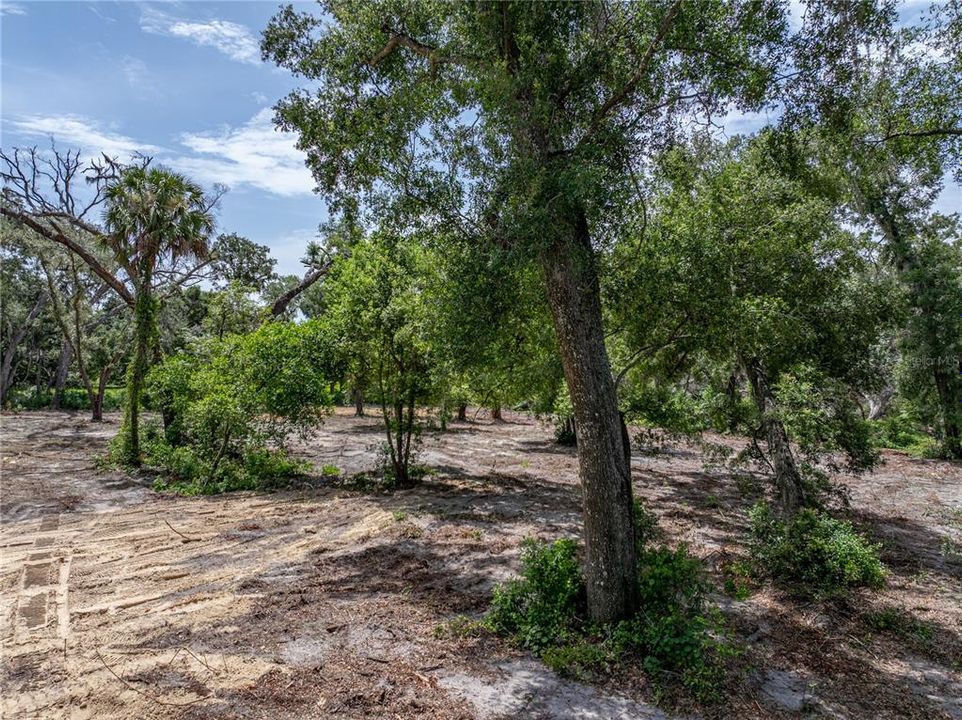 На продажу: $375,000 (3.07 acres)