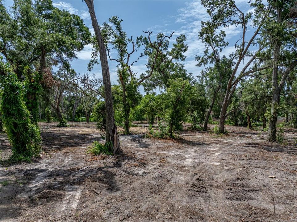 На продажу: $375,000 (3.07 acres)