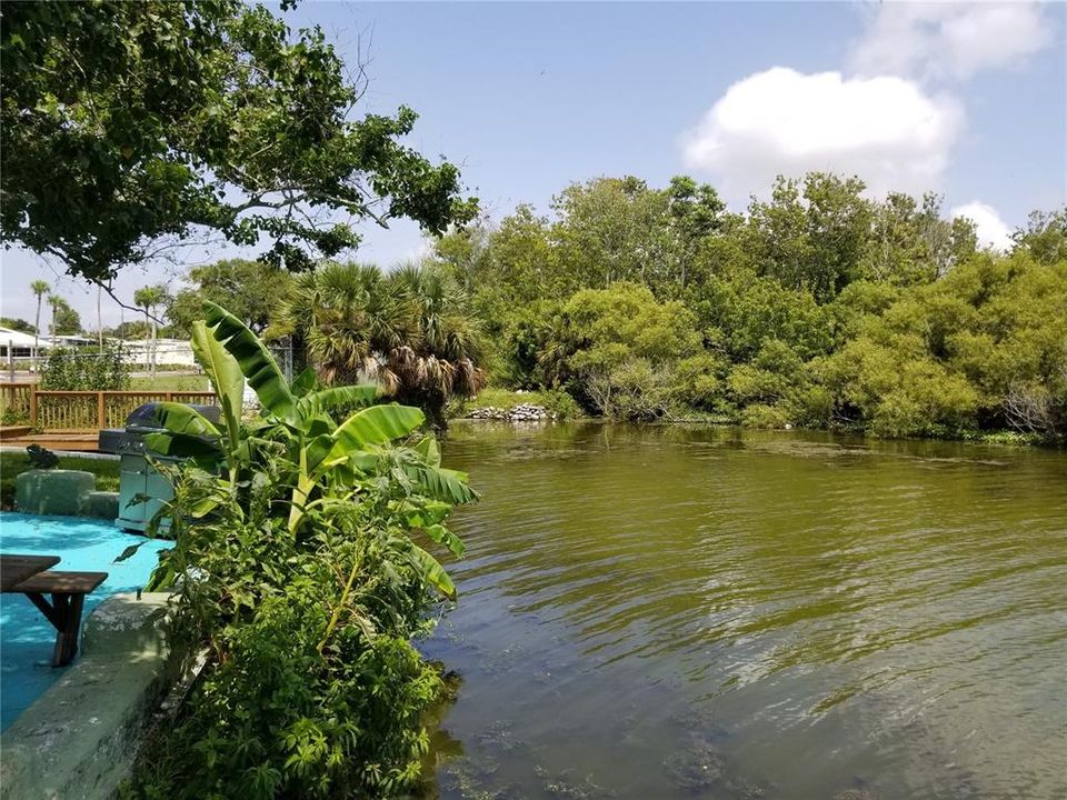 Active With Contract: $129,000 (2 beds, 2 baths, 1152 Square Feet)