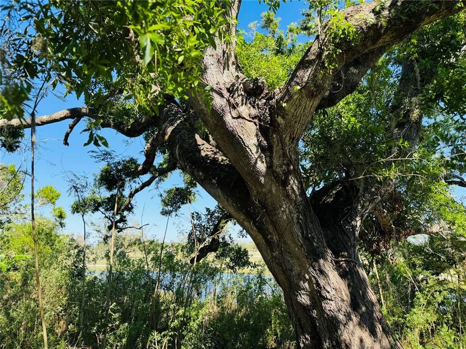 For Sale: $135,800 (3 beds, 2 baths, 1250 Square Feet)