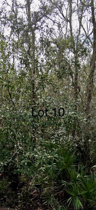 Recently Sold: $15,000 (0.84 acres)