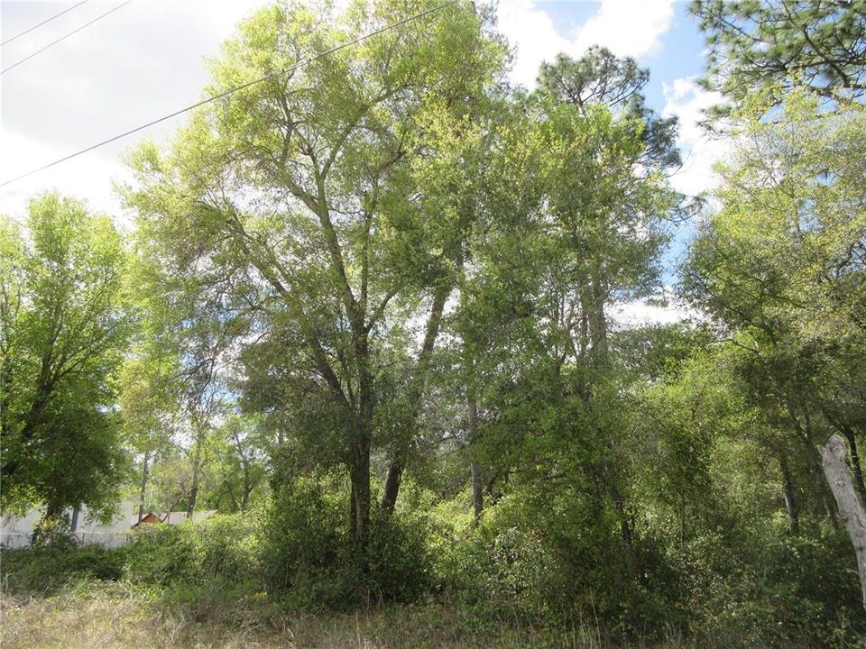 En Venta: $16,500 (0.28 acres)