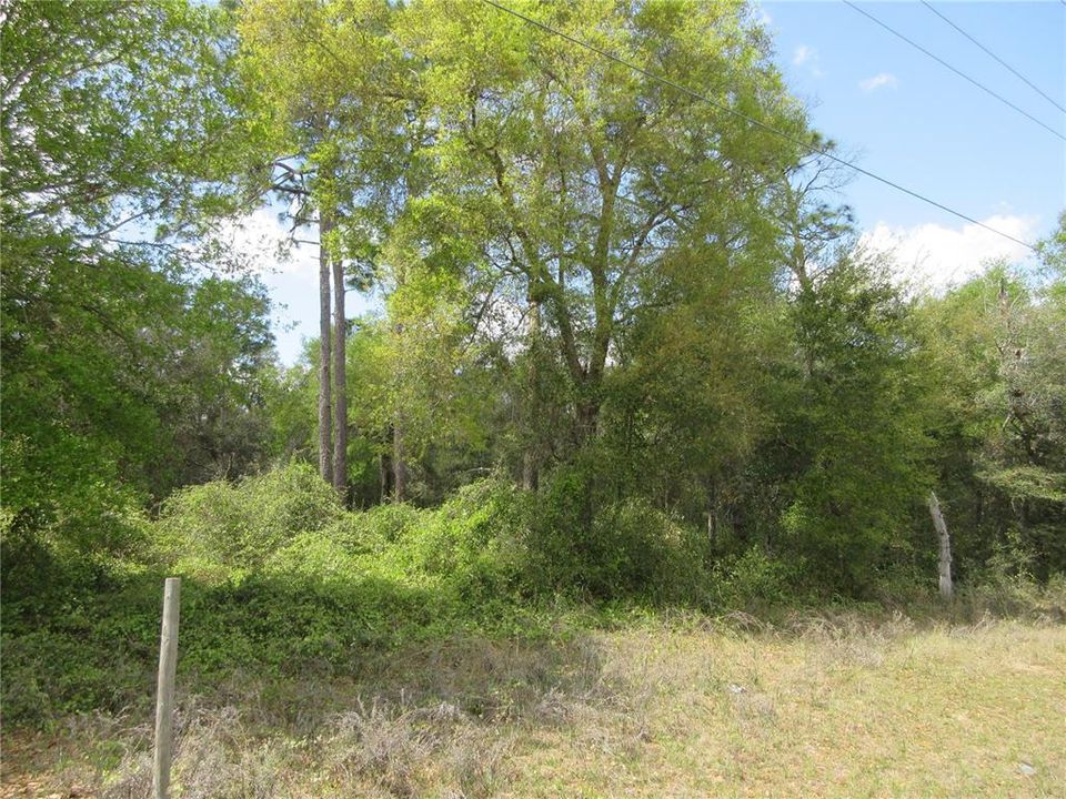 En Venta: $16,500 (0.28 acres)