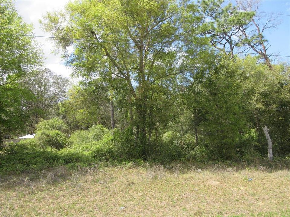 En Venta: $16,500 (0.28 acres)