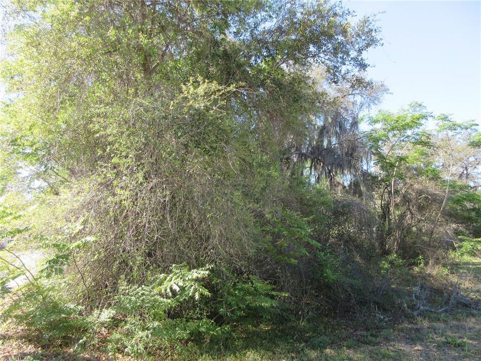 For Sale: $38,500 (0.20 acres)