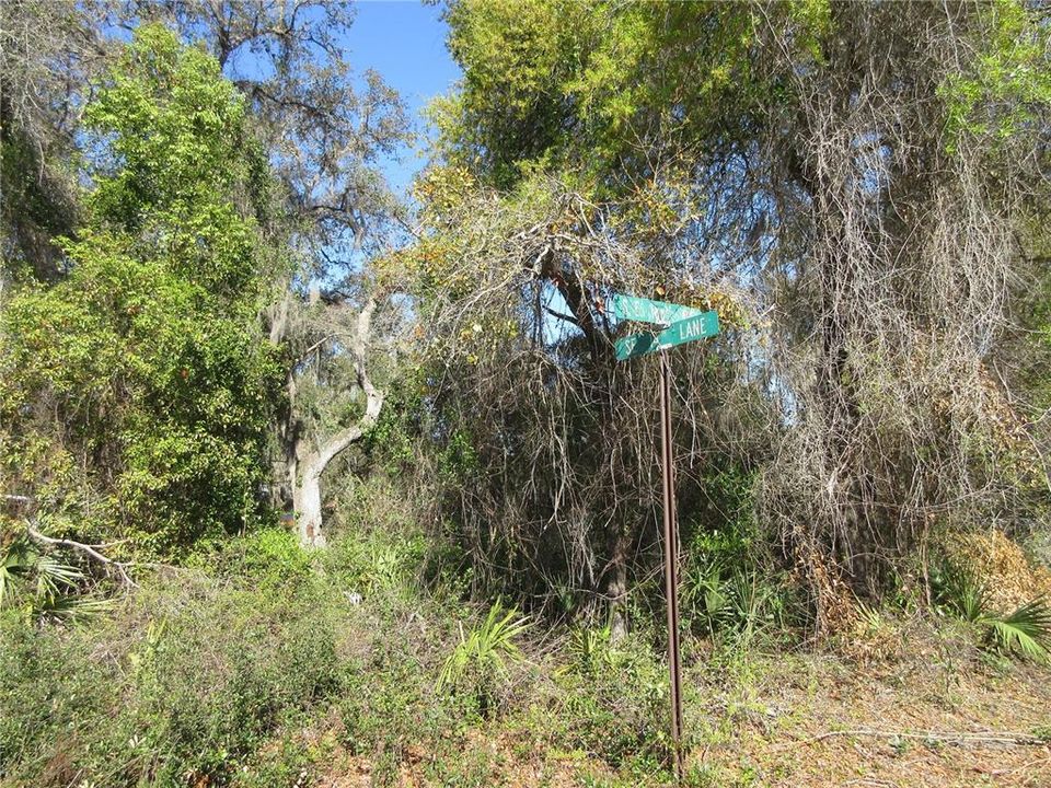 For Sale: $38,500 (0.20 acres)