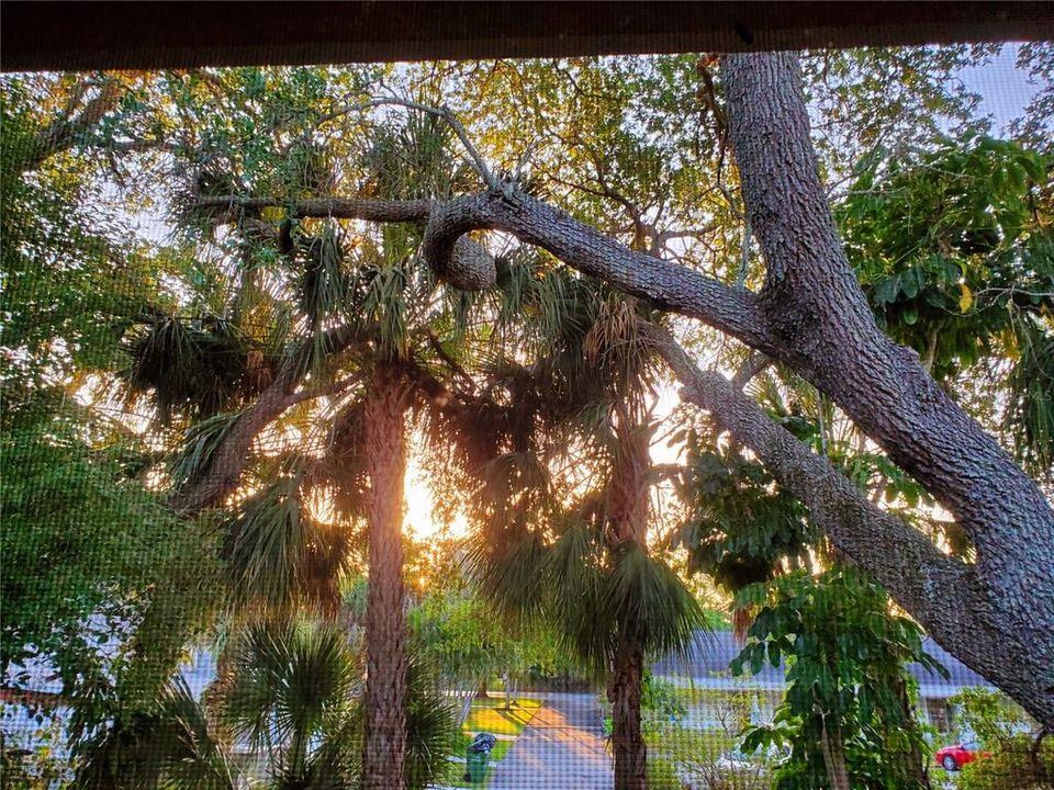 For Sale: $219,500 (2 beds, 2 baths, 982 Square Feet)