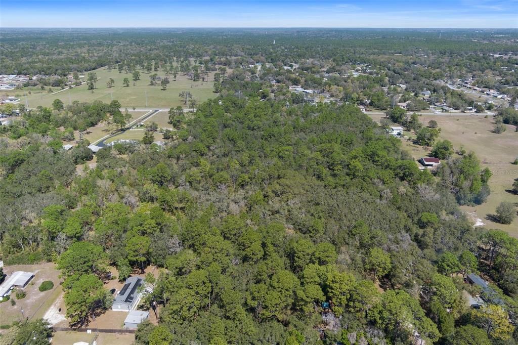 На продажу: $390,000 (19.67 acres)