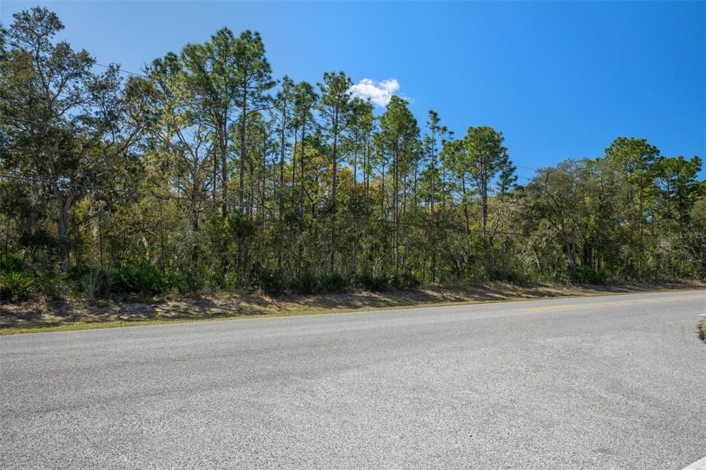 На продажу: $390,000 (19.67 acres)