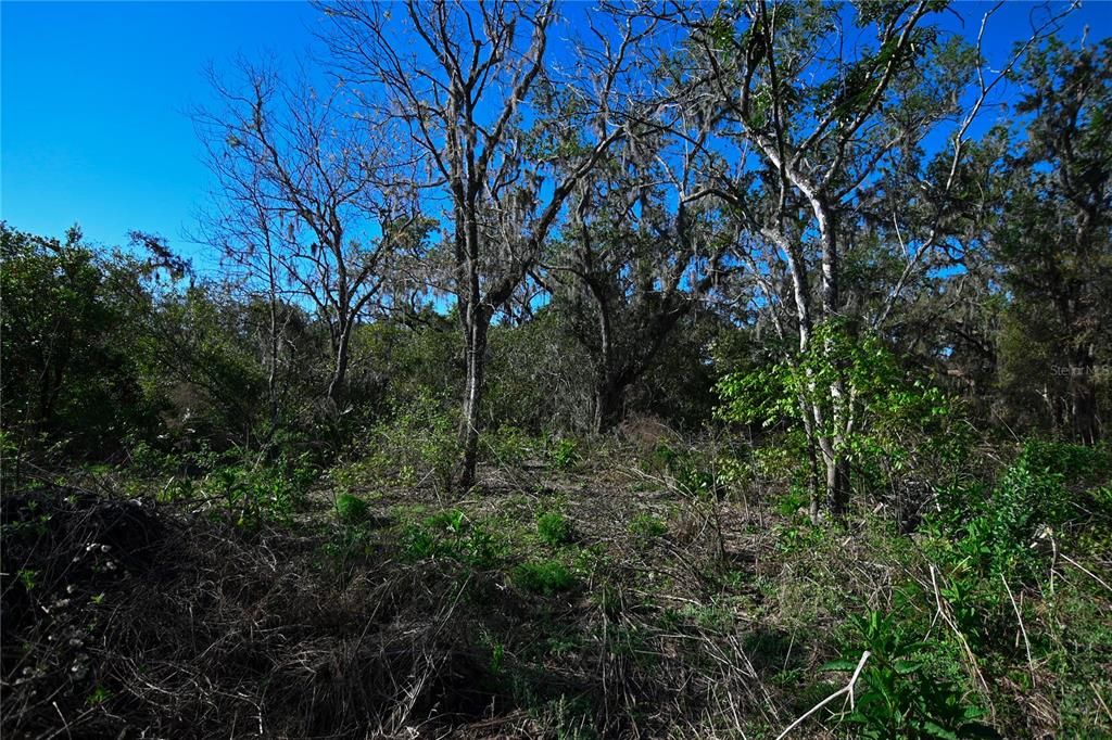 待售: $699,000 (37.00 acres)