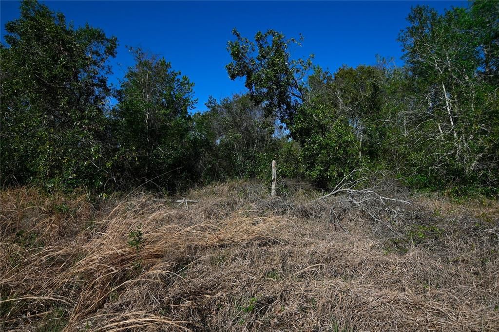 待售: $699,000 (37.00 acres)