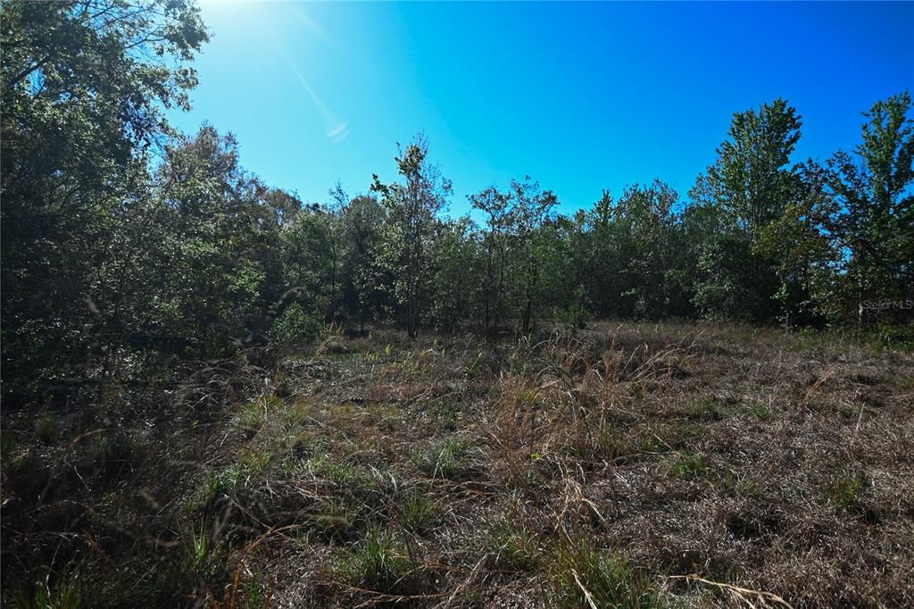 待售: $699,000 (37.00 acres)