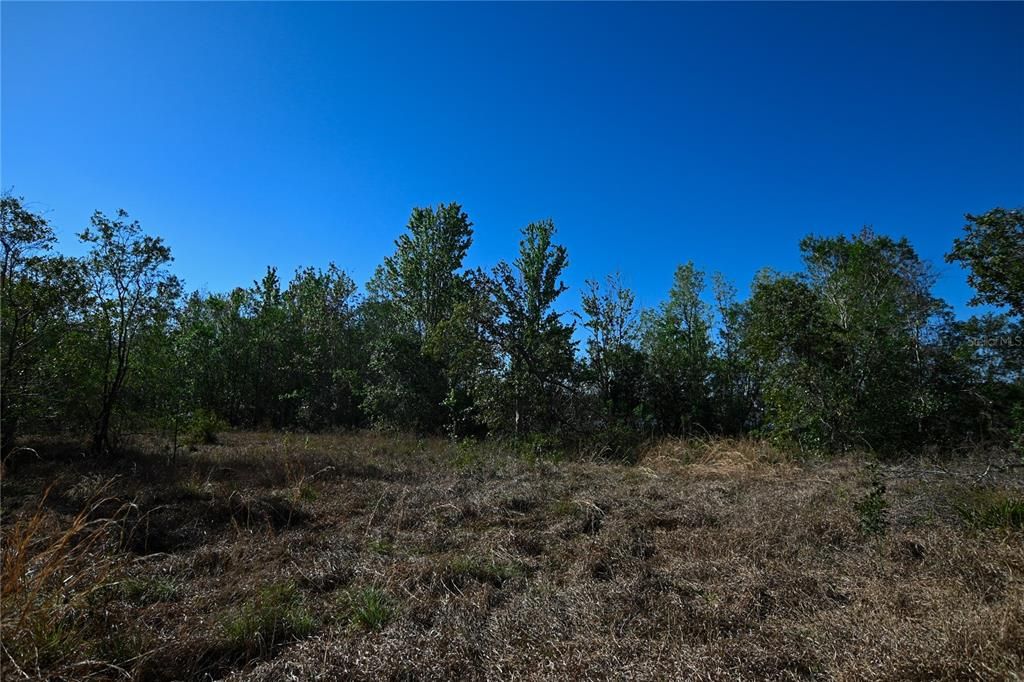 待售: $699,000 (37.00 acres)