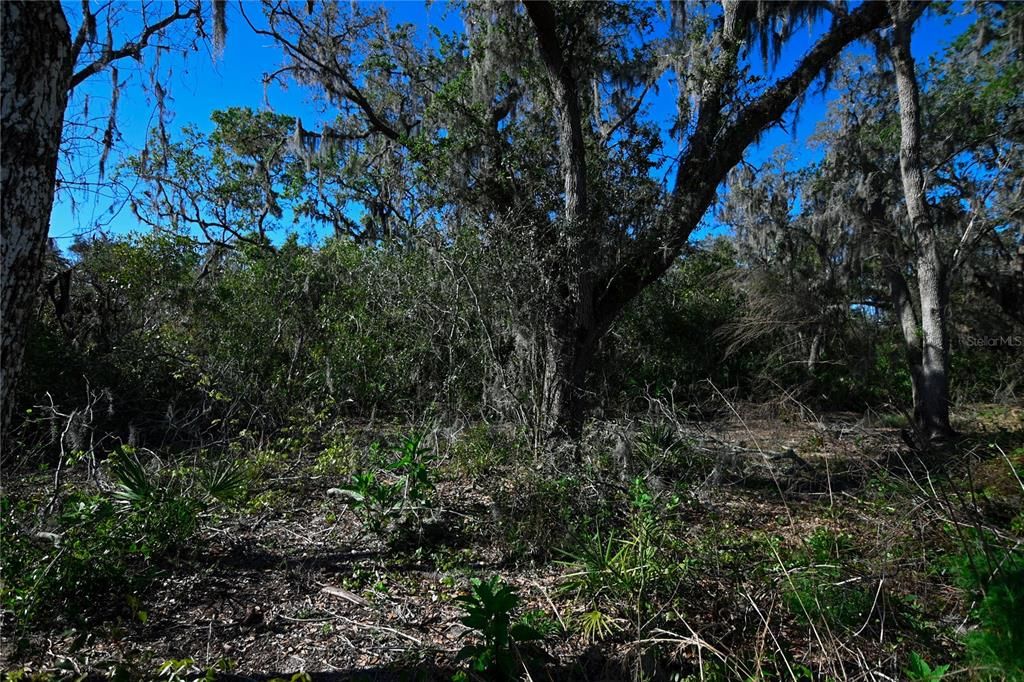 待售: $699,000 (37.00 acres)