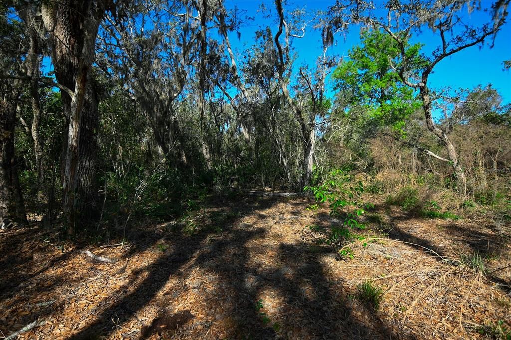 待售: $699,000 (37.00 acres)