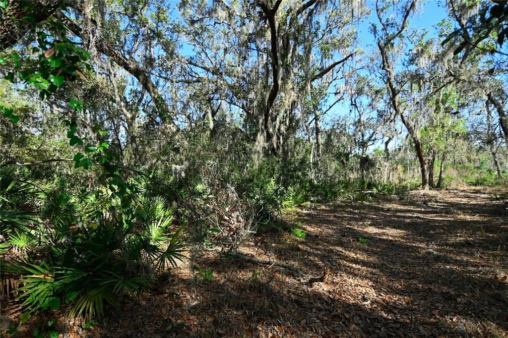 待售: $699,000 (37.00 acres)