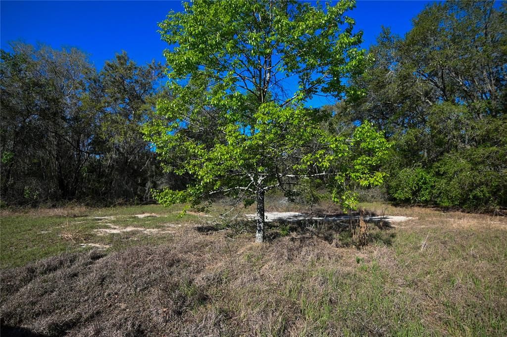 待售: $699,000 (37.00 acres)