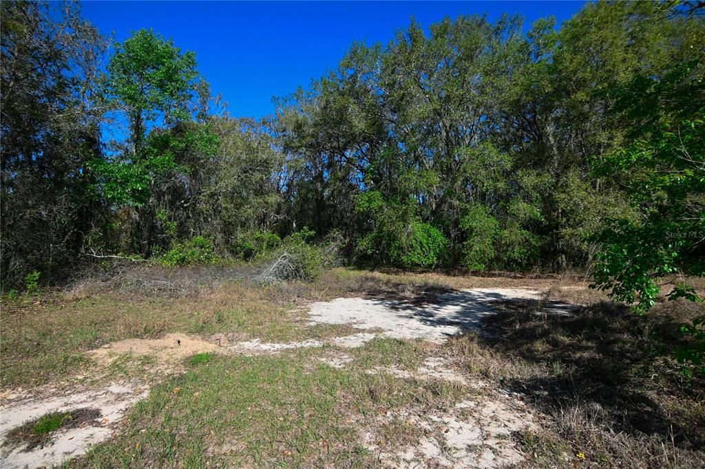 待售: $699,000 (37.00 acres)