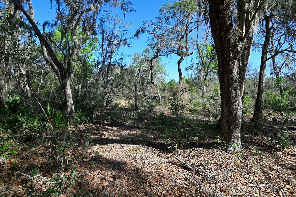 待售: $699,000 (37.00 acres)