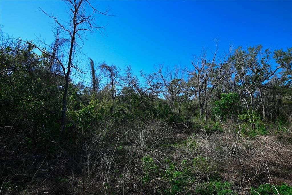 待售: $699,000 (37.00 acres)