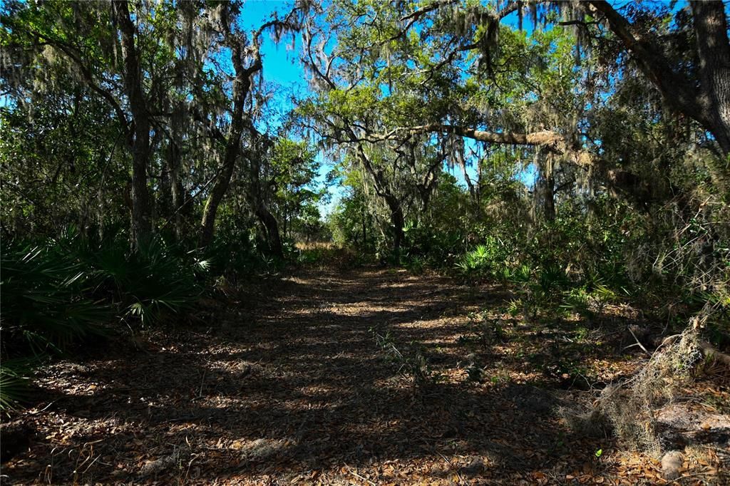 待售: $699,000 (37.00 acres)