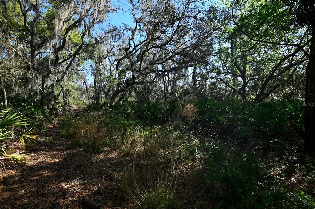 待售: $699,000 (37.00 acres)