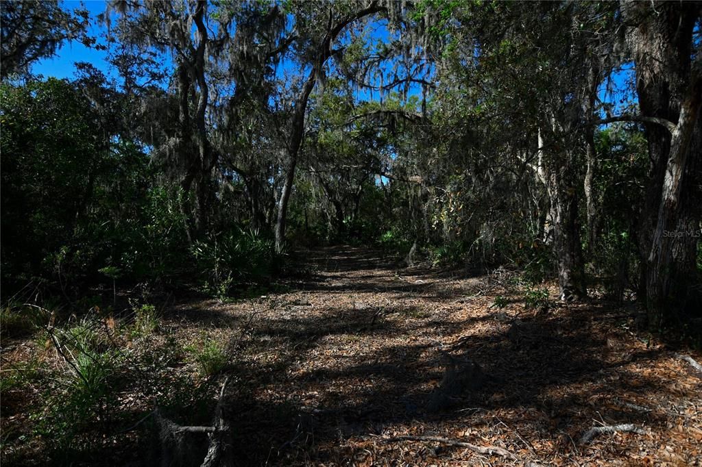 待售: $699,000 (37.00 acres)