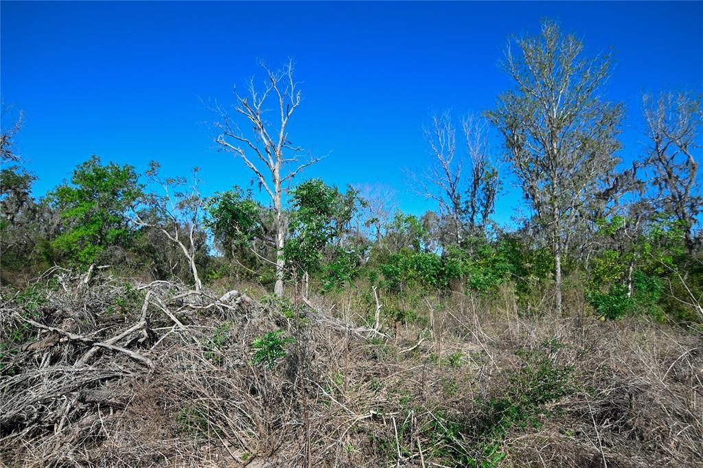 待售: $699,000 (37.00 acres)