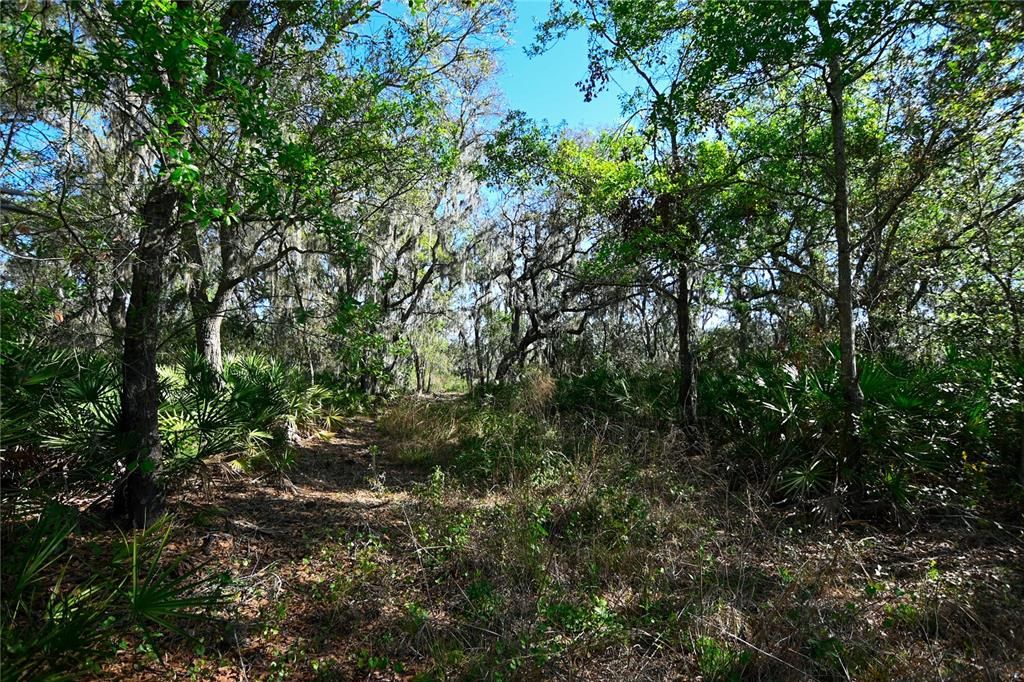 待售: $699,000 (37.00 acres)