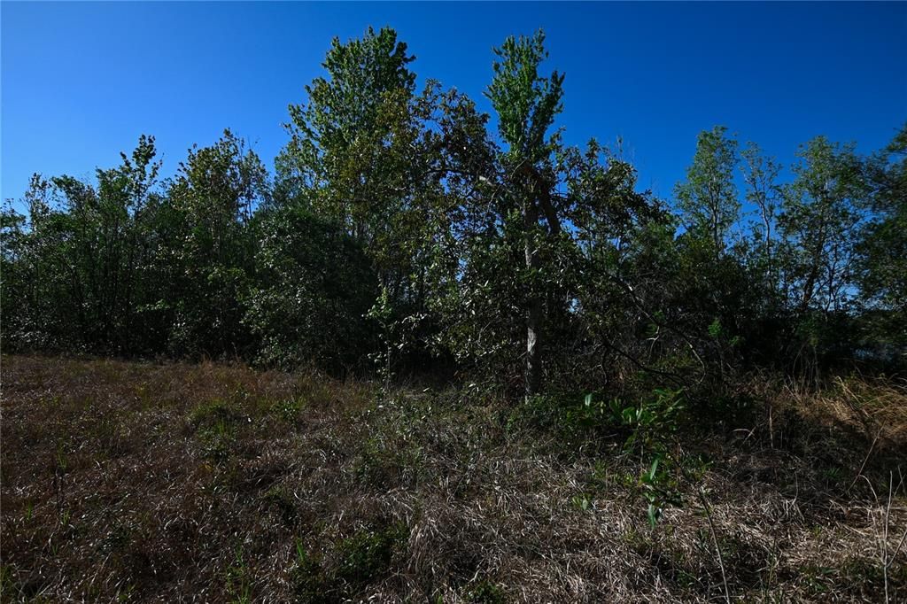 待售: $699,000 (37.00 acres)