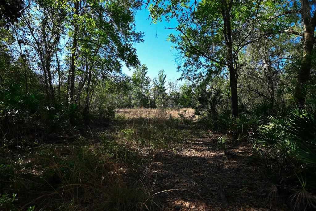 待售: $699,000 (37.00 acres)