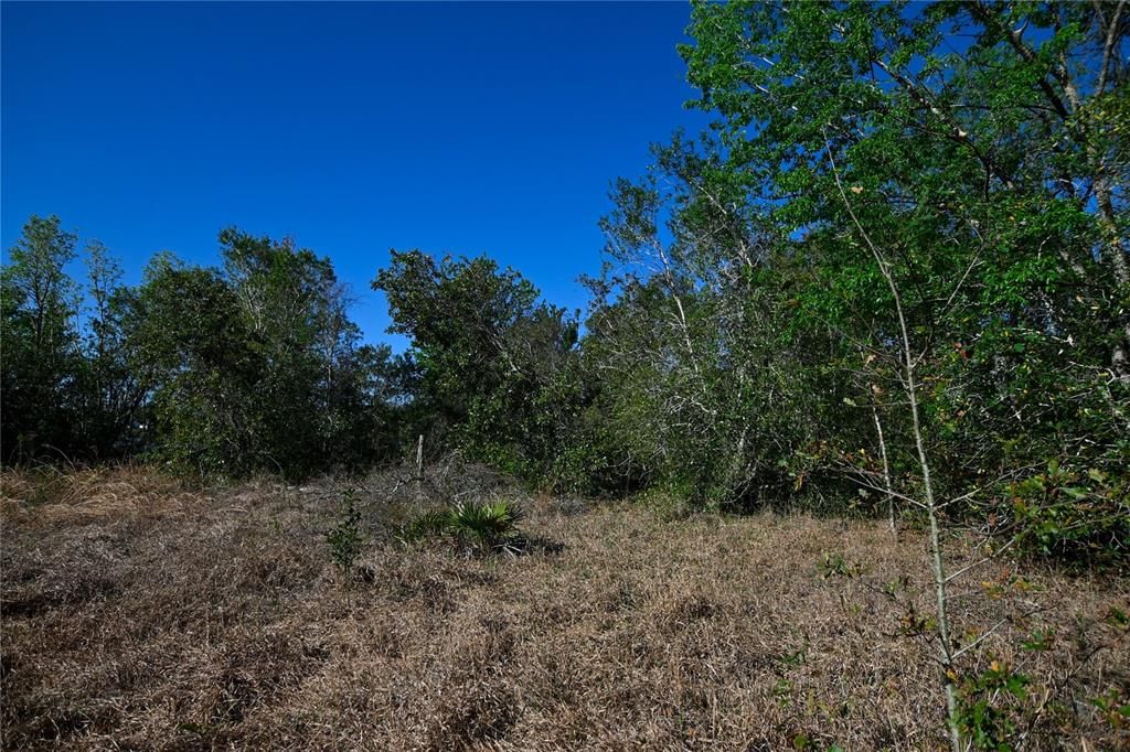 待售: $699,000 (37.00 acres)