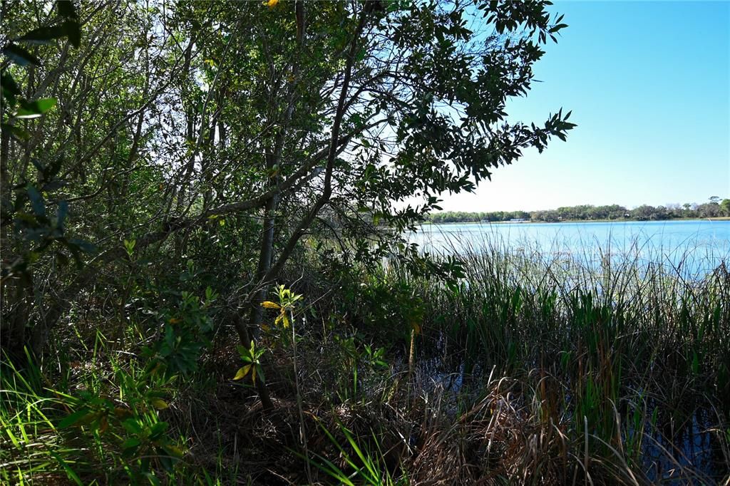 待售: $699,000 (37.00 acres)