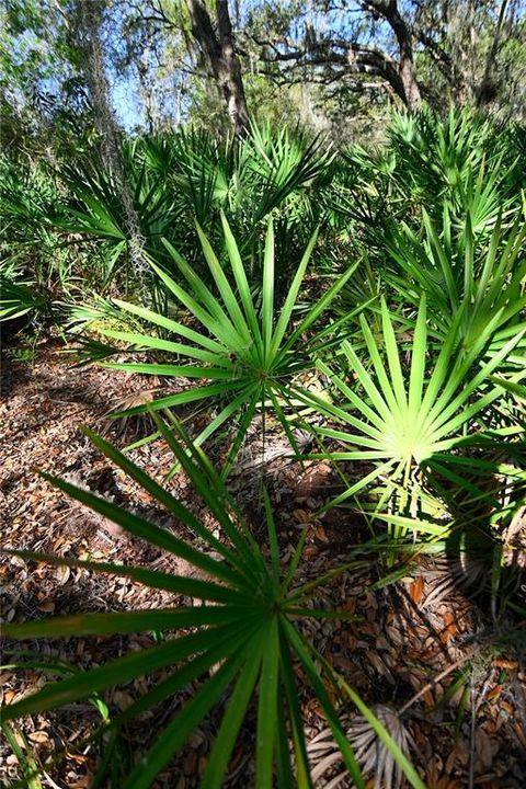 待售: $699,000 (37.00 acres)