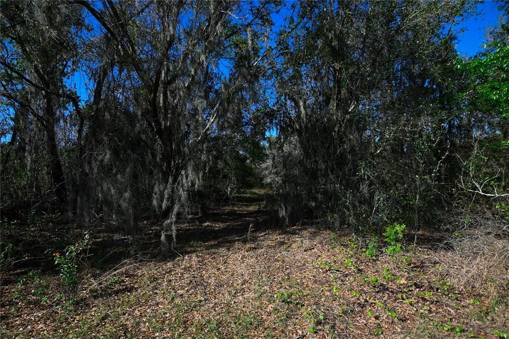 待售: $699,000 (37.00 acres)