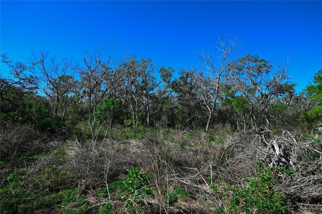 待售: $699,000 (37.00 acres)