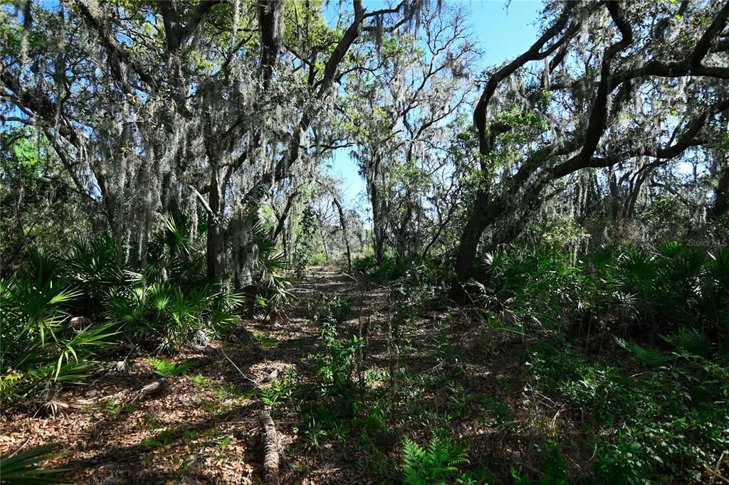 待售: $699,000 (37.00 acres)