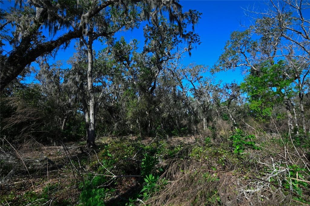 待售: $699,000 (37.00 acres)