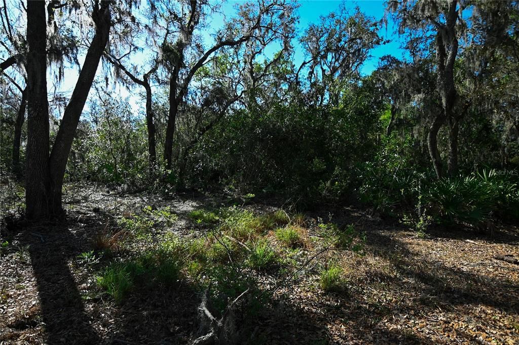 待售: $699,000 (37.00 acres)