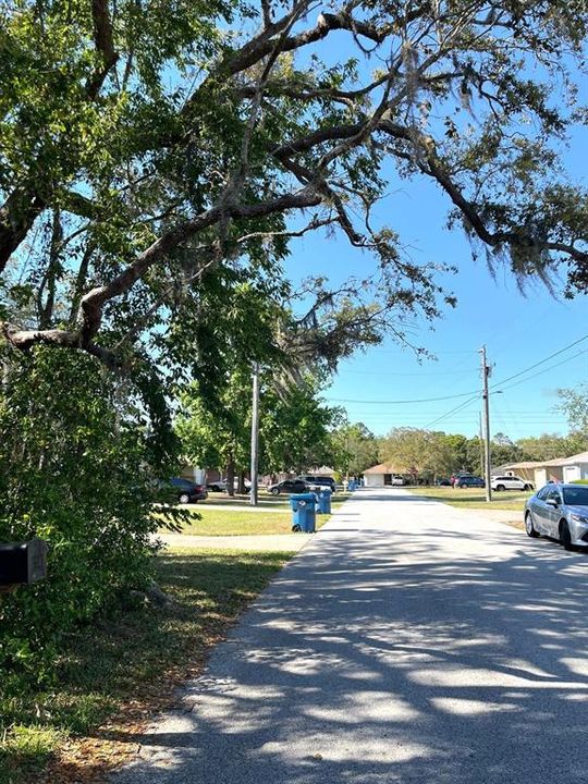 En Venta: $62,000 (0.25 acres)