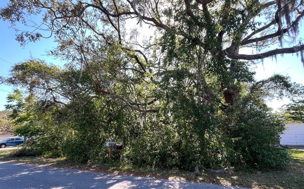 En Venta: $62,000 (0.25 acres)